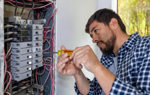 Best Electrical Panel Upgrades  in Duvall, WA